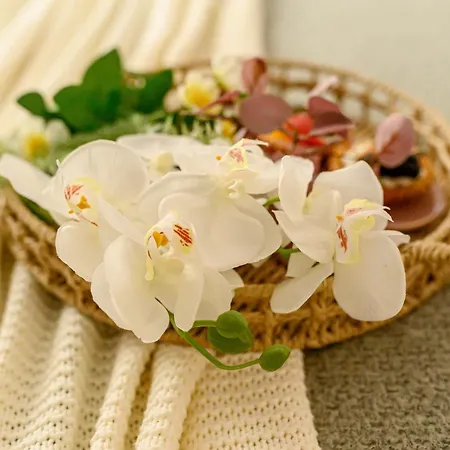 Cultural Gems- Modern 1br Near Museums Apartament Bukareszt